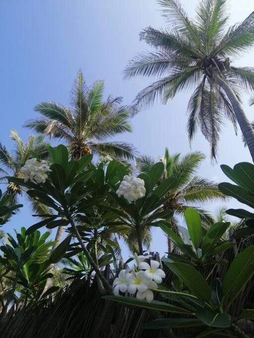 Nayan'S Paradise Beach Villa Puttalam Exterior foto