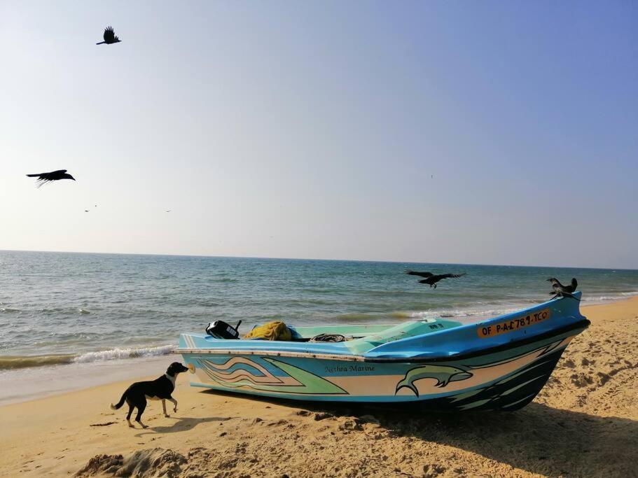 Nayan'S Paradise Beach Villa Puttalam Exterior foto